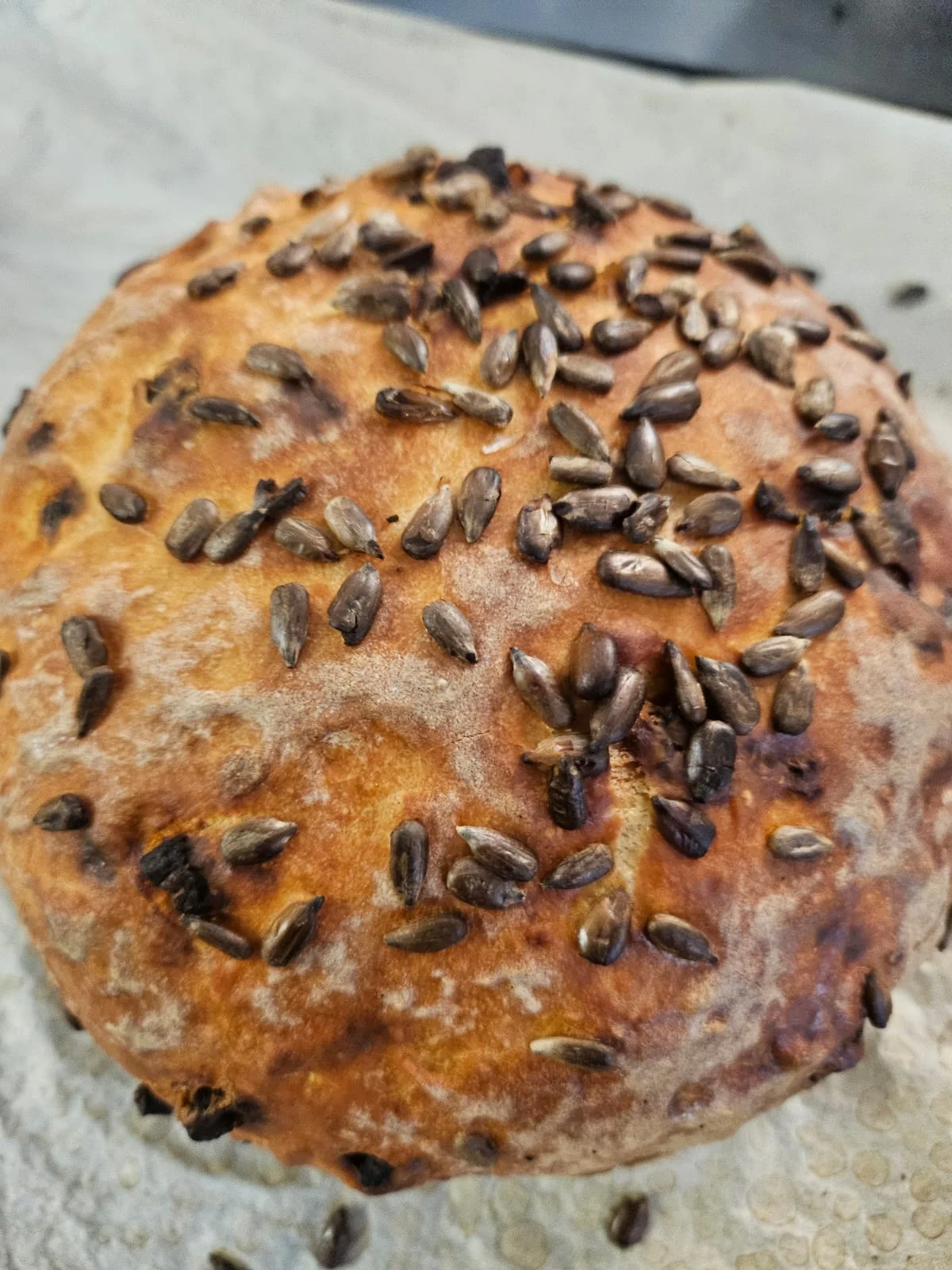 Restaurant Du Guillec Restaurant Plouzevede Restaurant Du Guillec Plat Image 2